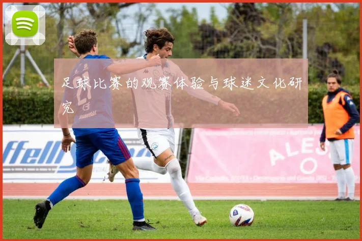 足球比赛的观赛体验与球迷文化研究