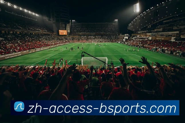 B体育APP 体育赛事宣传图